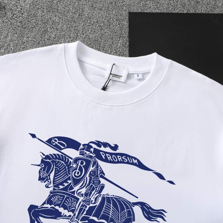 Picture of Burberry T Shirts Short _SKUBurberryXS-Lattr14719245
